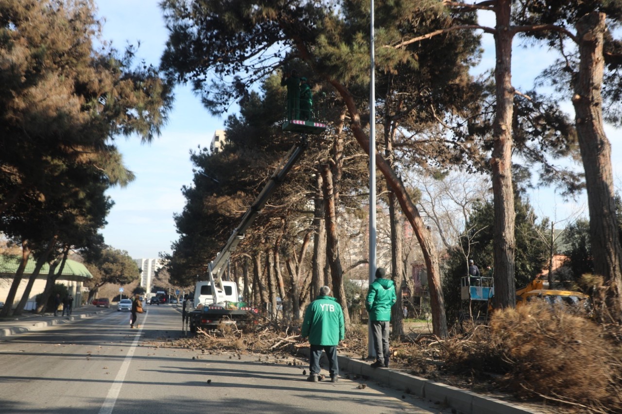 Suraxanıda genişmiqyaslı abadlıq və təmizlik işləri aparılır - FOTOLAR